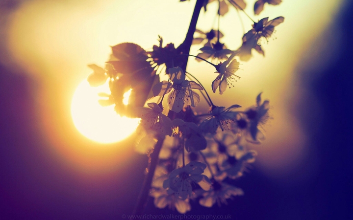 Frühling