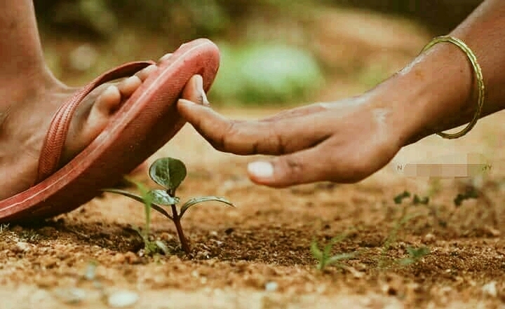 save life
