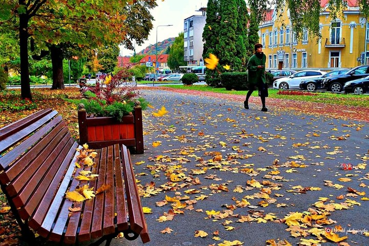 Fall
