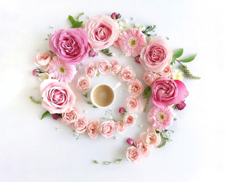 Good morning ❤️