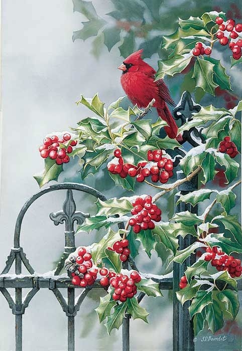 cardinal & holly ❄️☃️