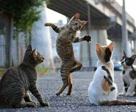 Performing for a rapt audience