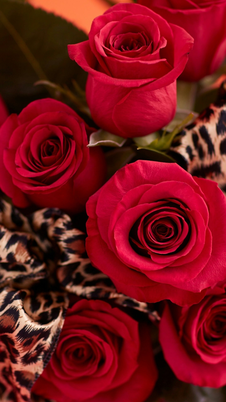 Red Rose