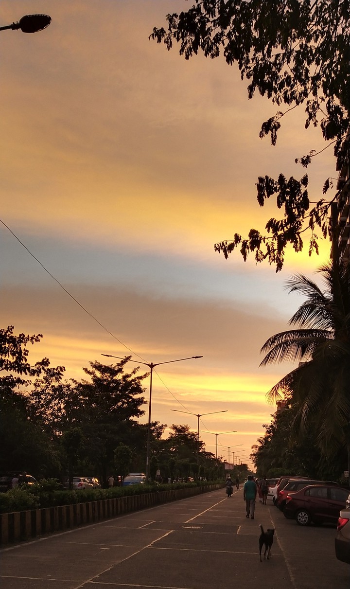 Sunset View