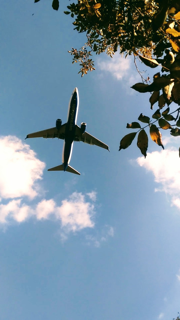 fly in the sky..