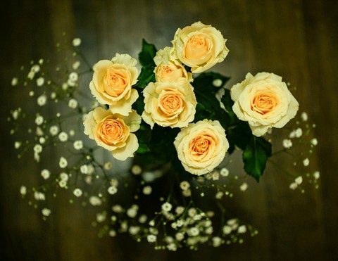 bouquet, pink壁紙