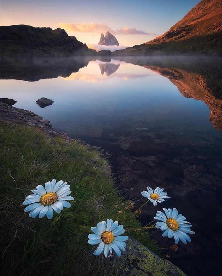 nature
