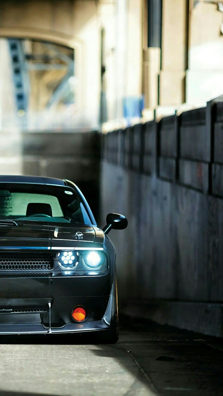 car.....