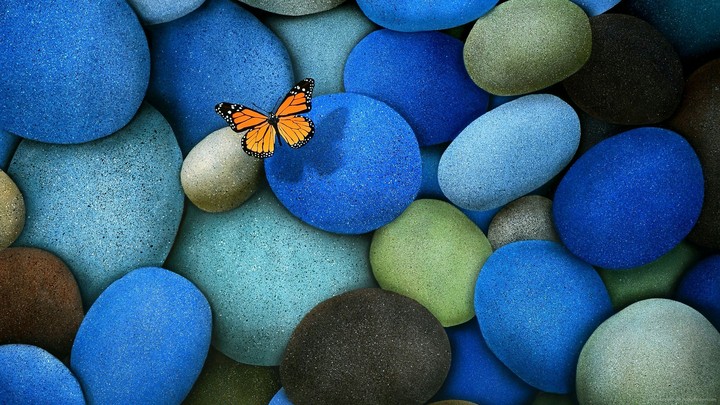 blue pebbles