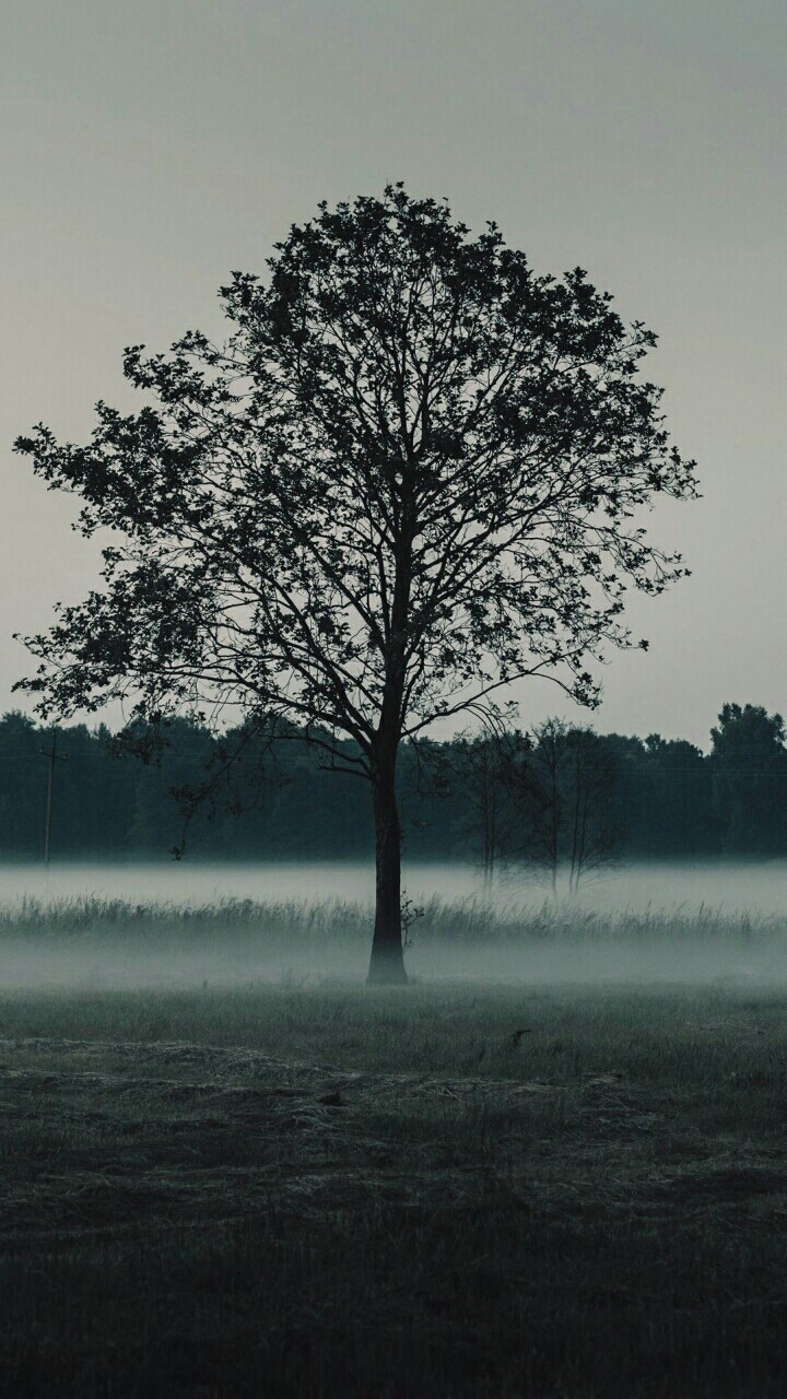 weather