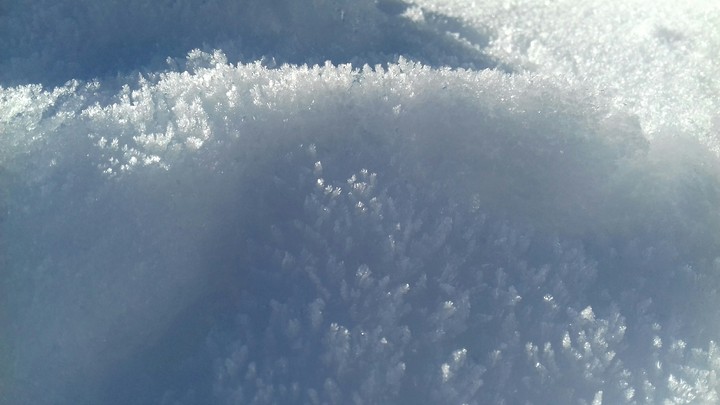 cristaux de neige