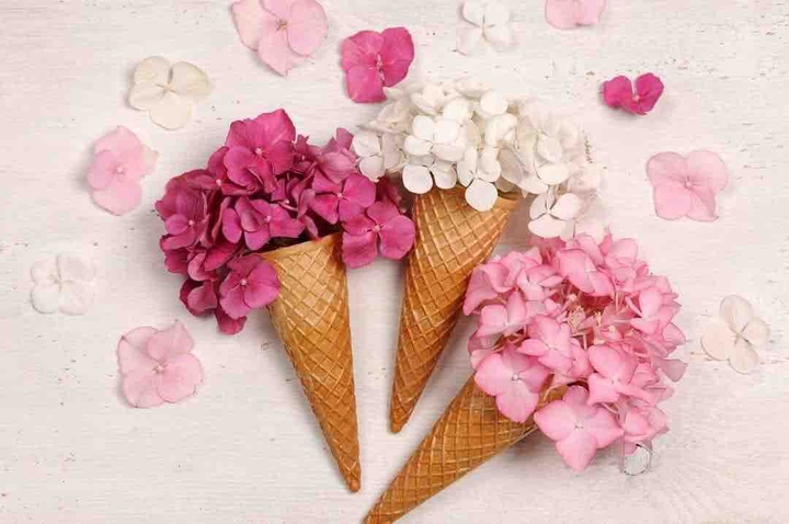 Flower cones