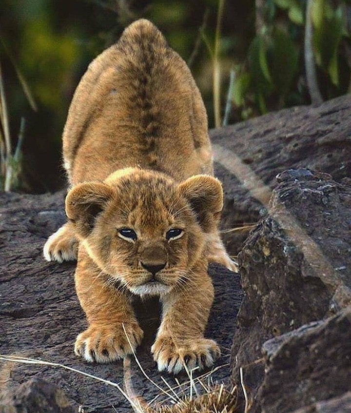 so small