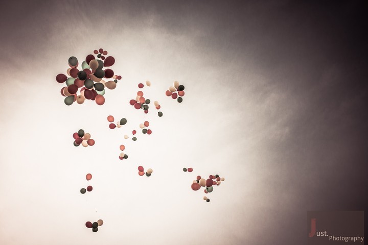 Fly Away...
