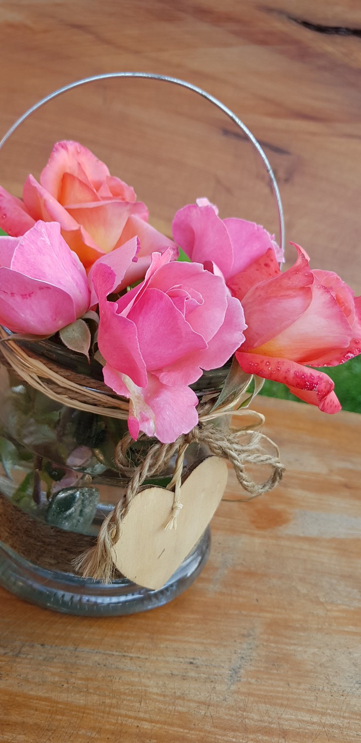 Roses
