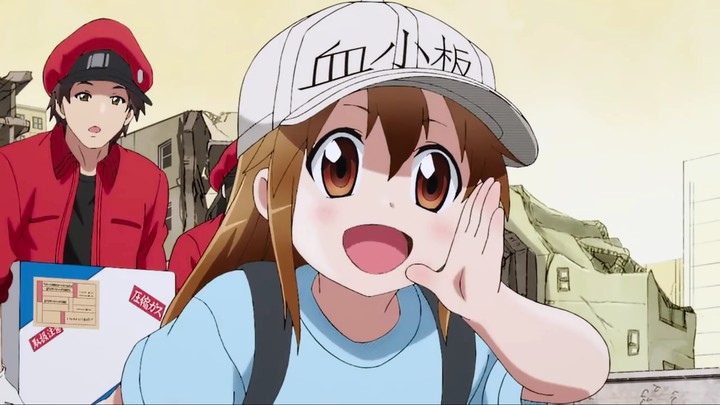 Cells at work !