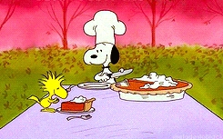 Indulging in pumpkin pie - tuck in!