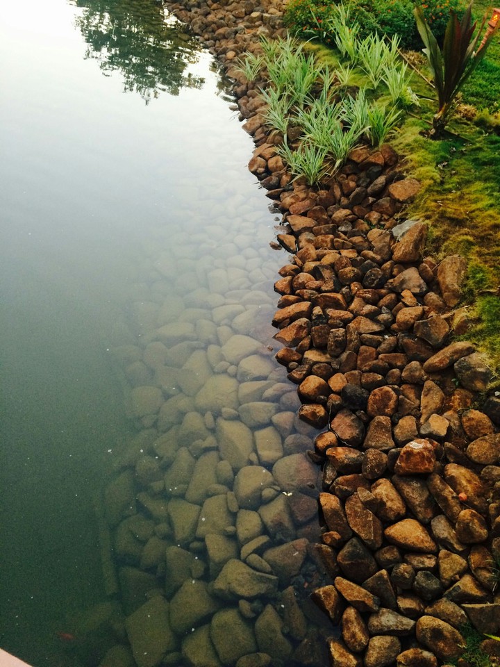 Rocky Riverbed