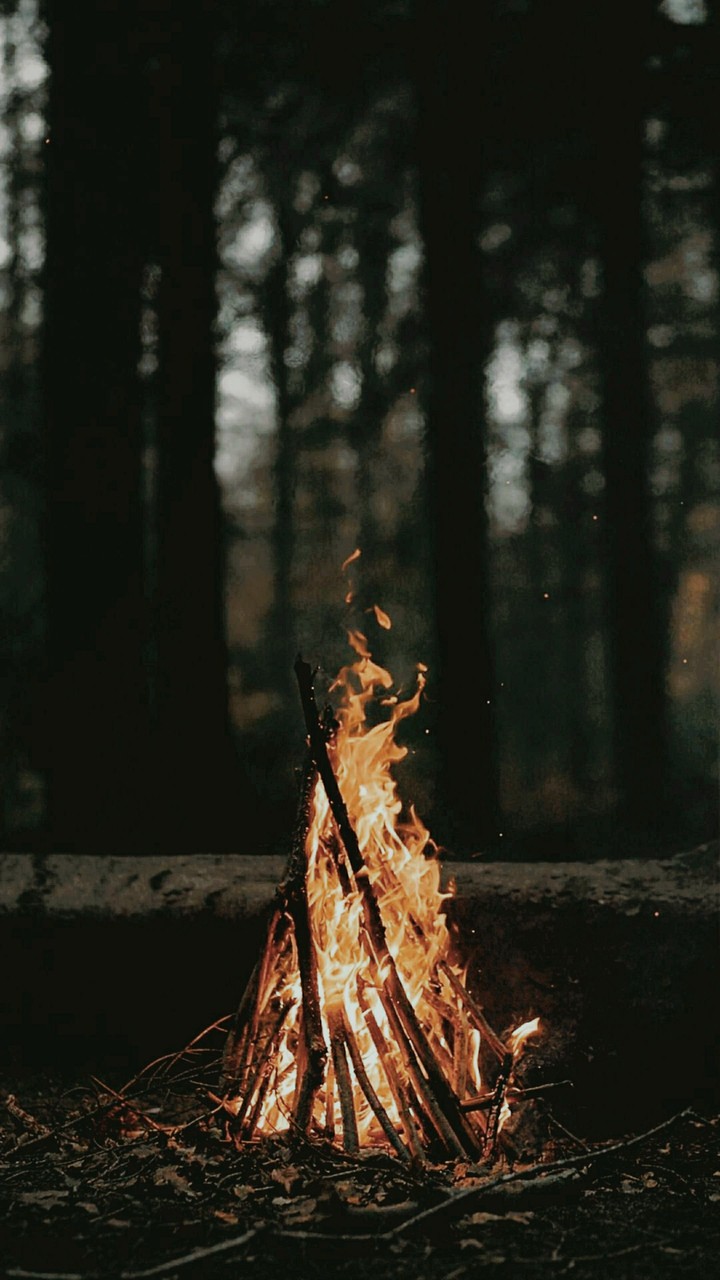 Fire❤️