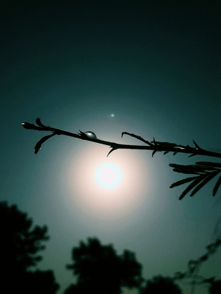 beutyfull sunset