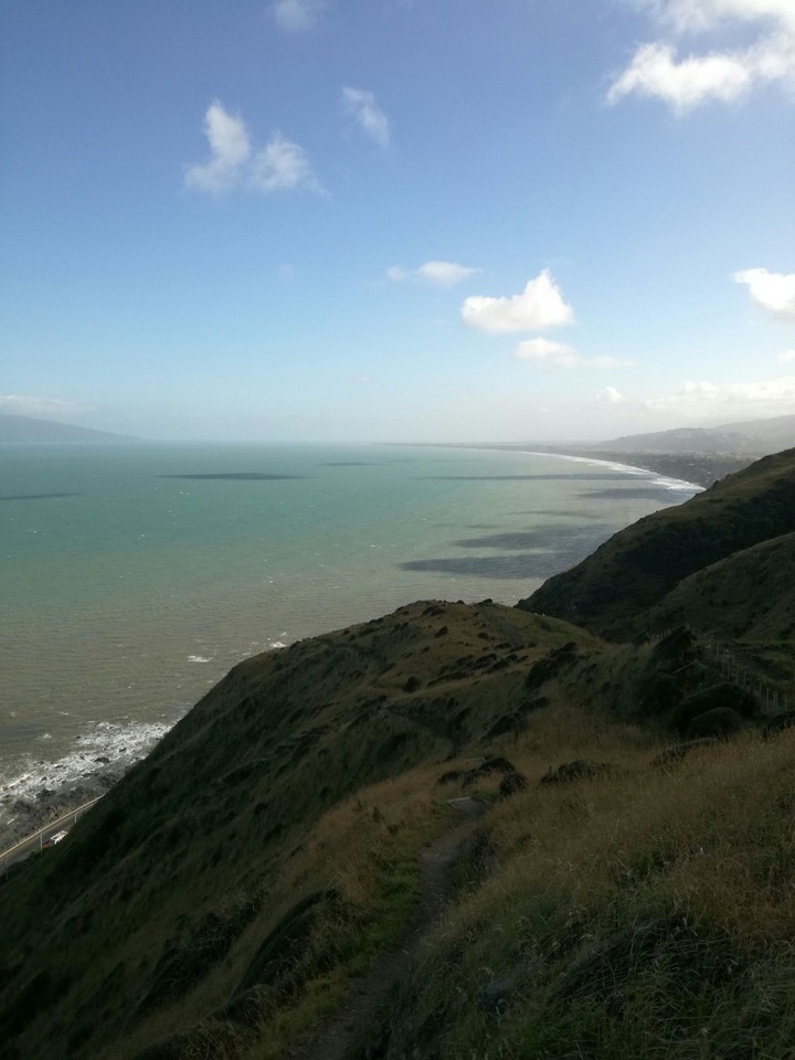 Rugged coastline