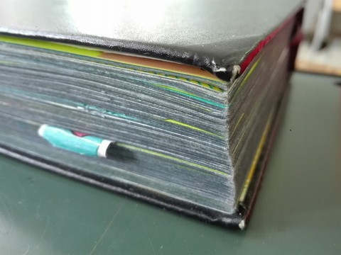 Diary in detail