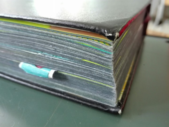 Diary in detail