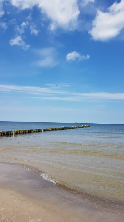 sea