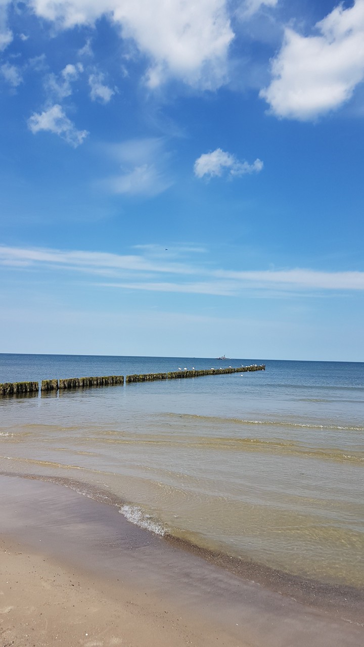 sea
