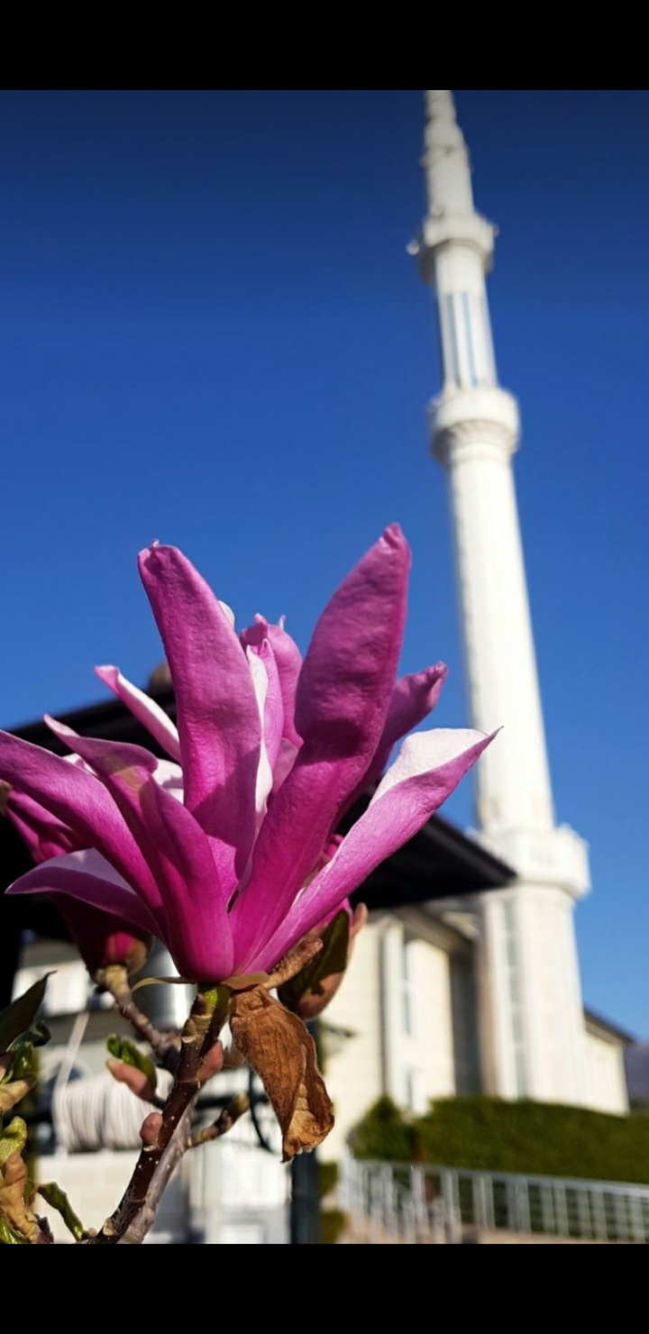 mosque