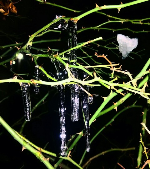 Beauty of Nature