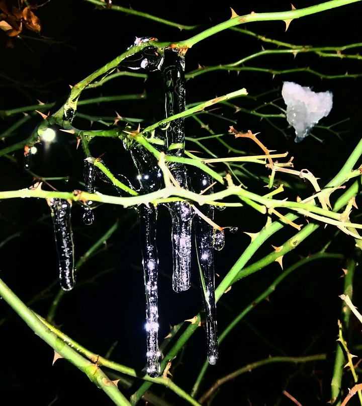 Beauty of Nature
