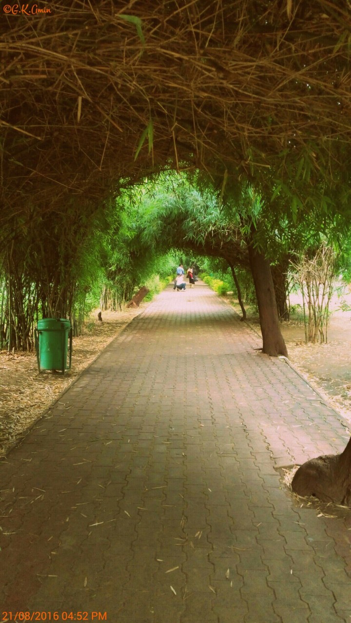 greeny footpath