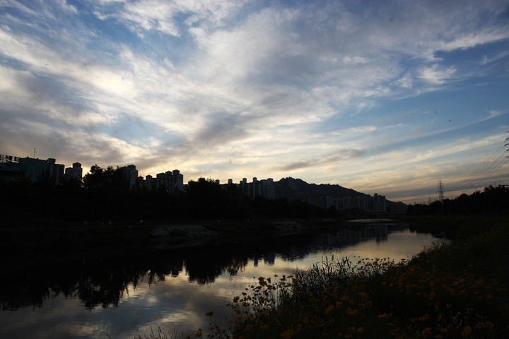 Scenics