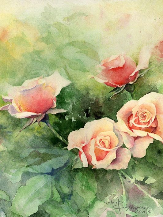 rose