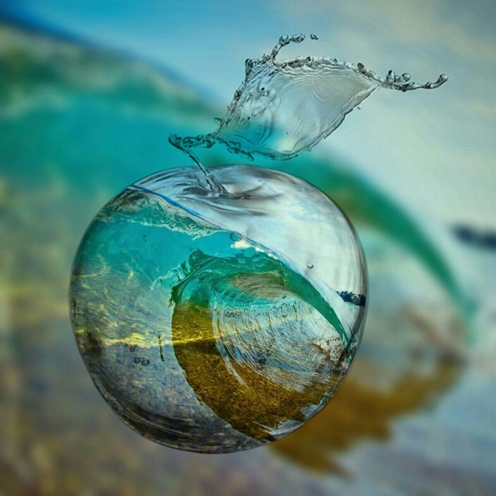 Water Apple