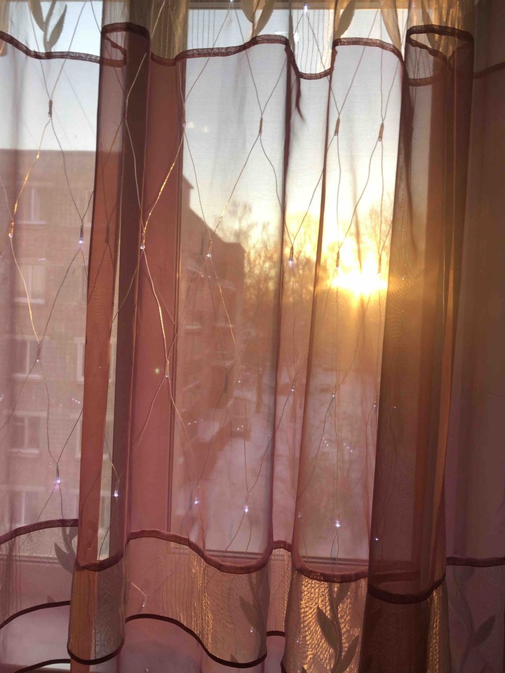 morning
