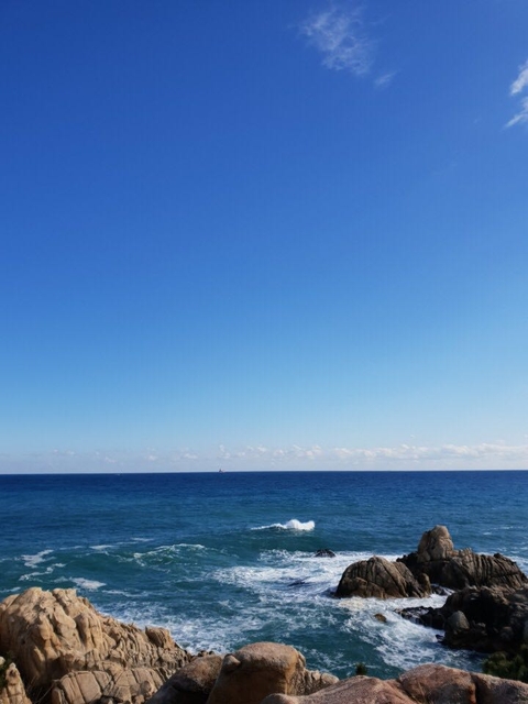 шпалери horizon, coast