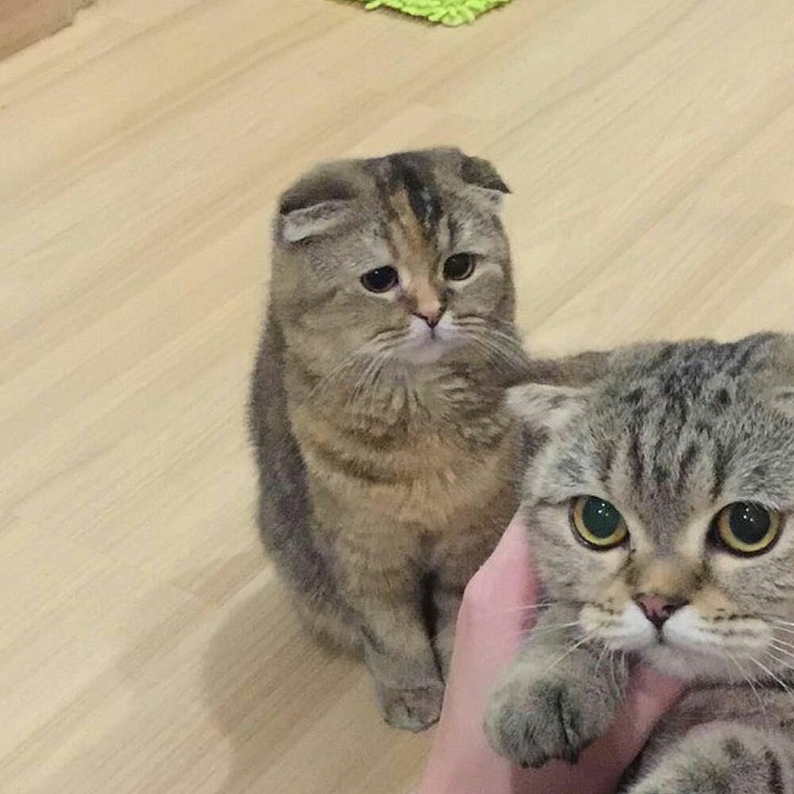 LoL that look ??
