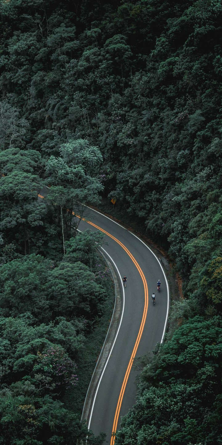 Green inspirational minimalistic nature road
