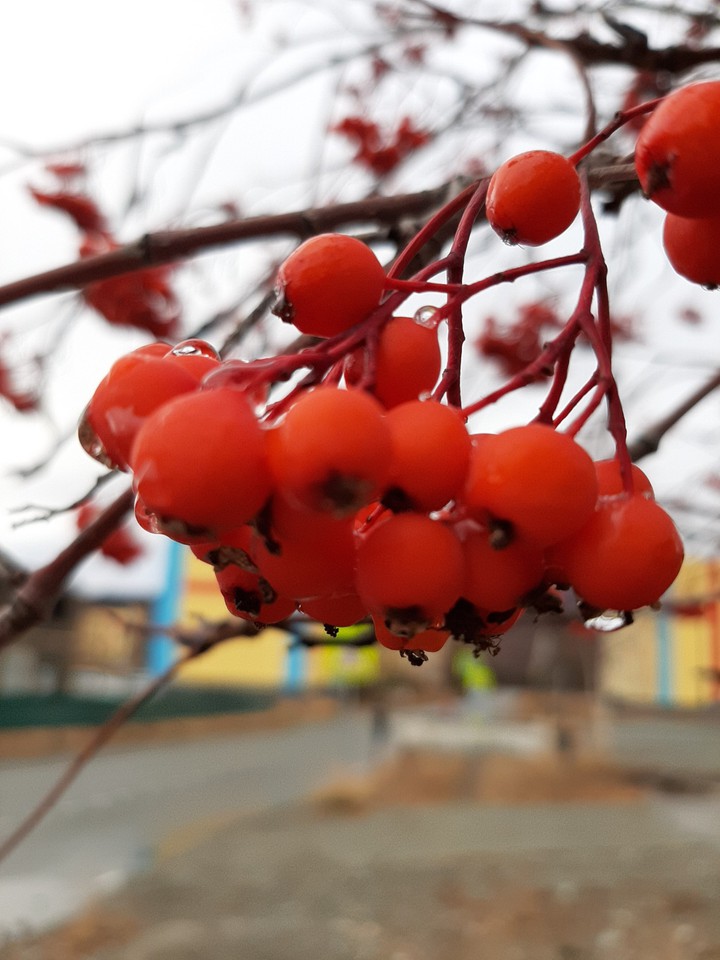 осень
