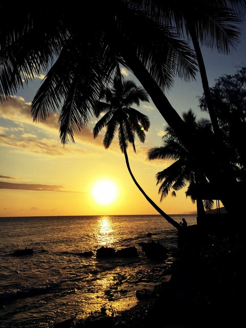 sun set in evening