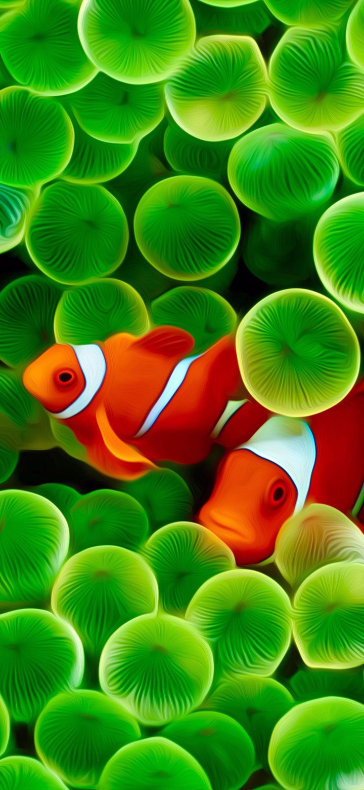nemo