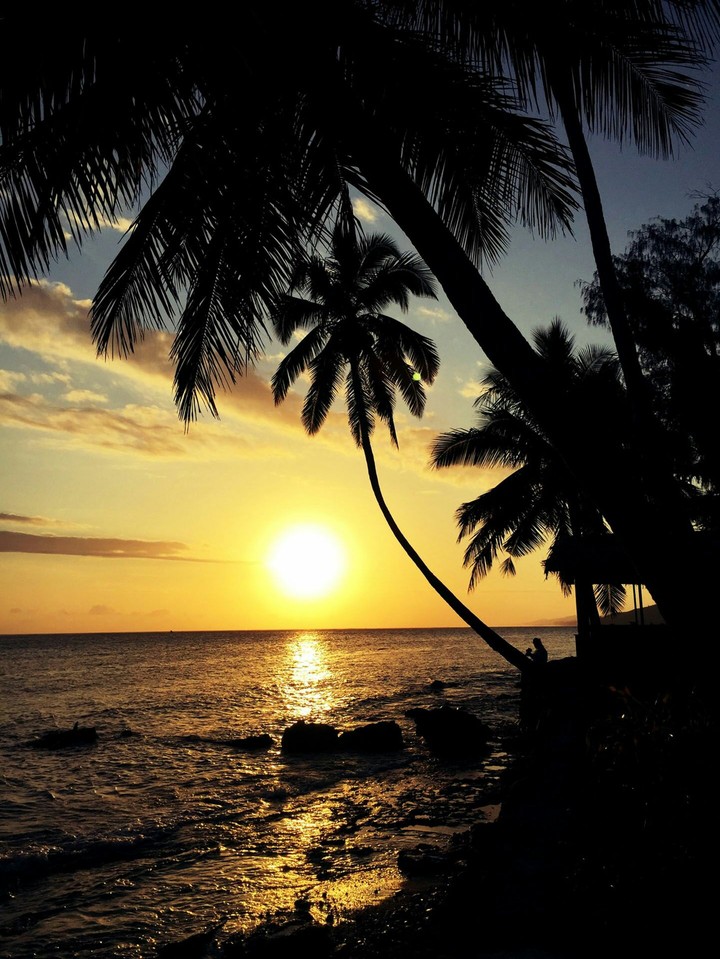 sun set in evening