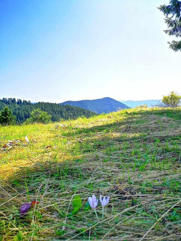#nature