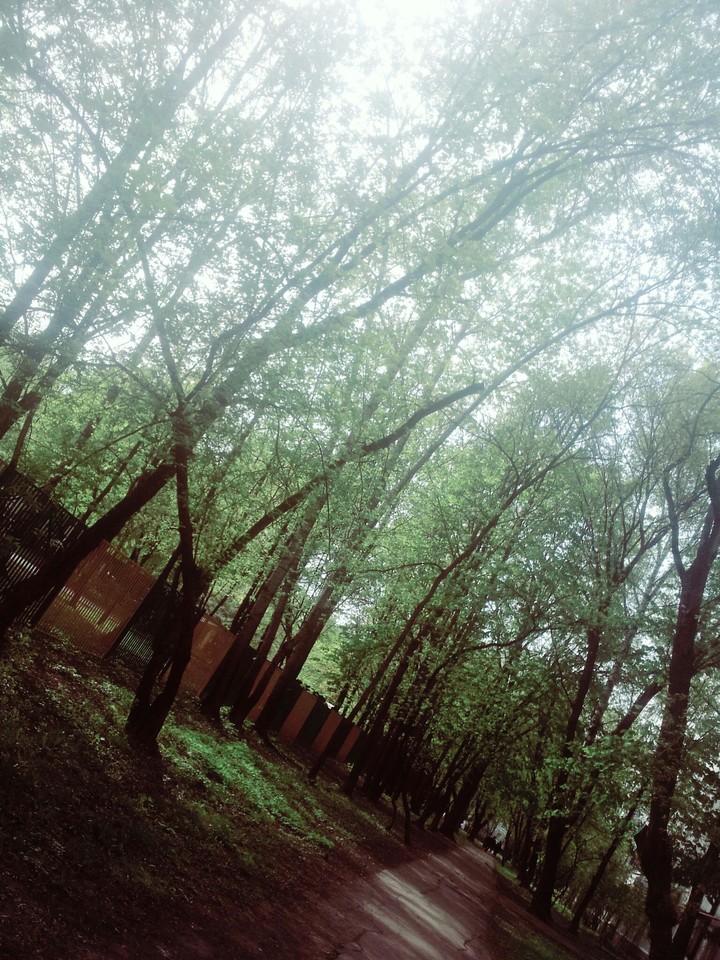 Street