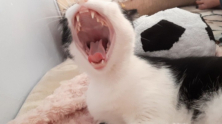 ?