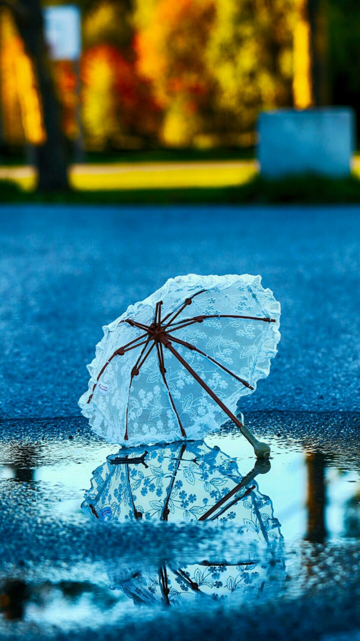 ✨ A Rainy Day ❤