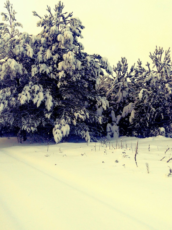winter's tale