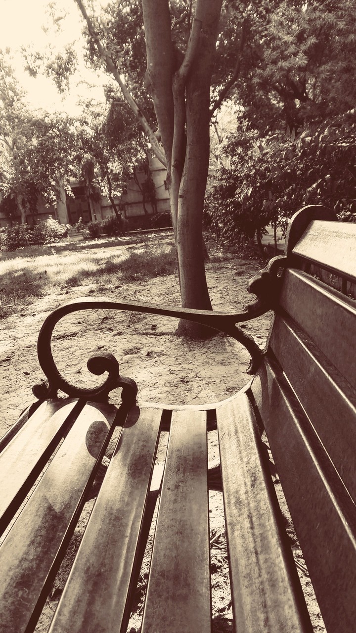 lonely